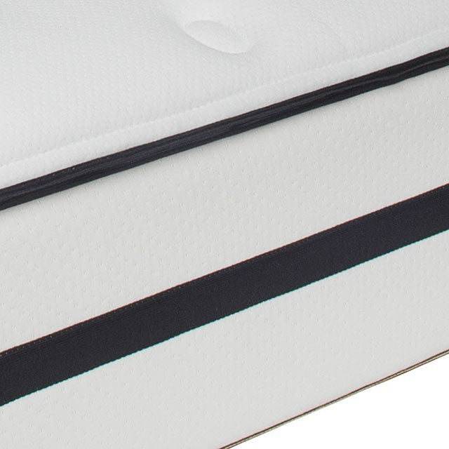 Kastel Mattress - Jay's Mattress Plus (NY)