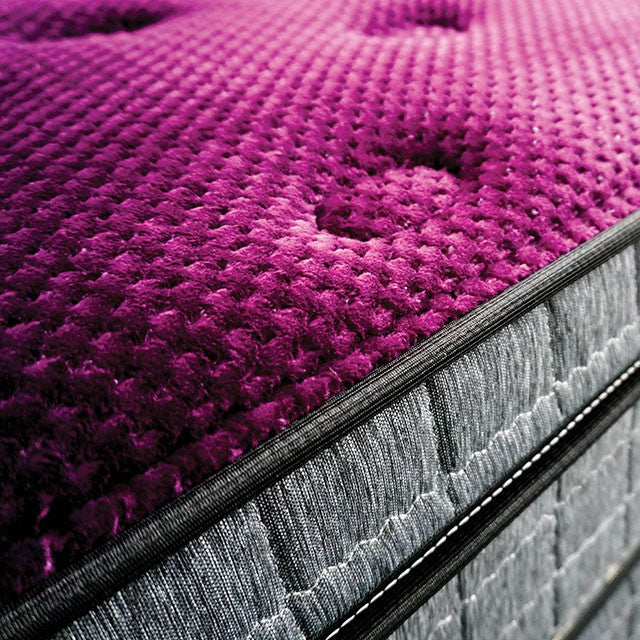 Minnetonka 13" Euro Pillow Top Mattress - Jay's Mattress Plus (NY)