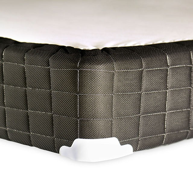 Minnetonka Foundation - Jay's Mattress Plus (NY)