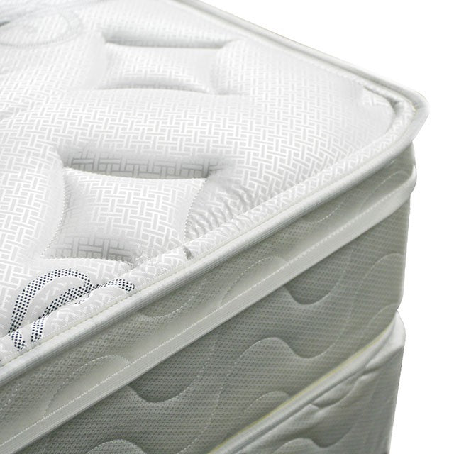 JALEN White 9" Euro Top Mattress, Full - Jay's Mattress Plus (NY)
