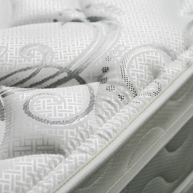 JALEN White 9" Euro Top Mattress, Full - Jay's Mattress Plus (NY)