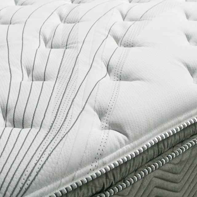 STORMIN White/Gray 13" Euro Pillow Top Mattress, Queen - Jay's Mattress Plus (NY)