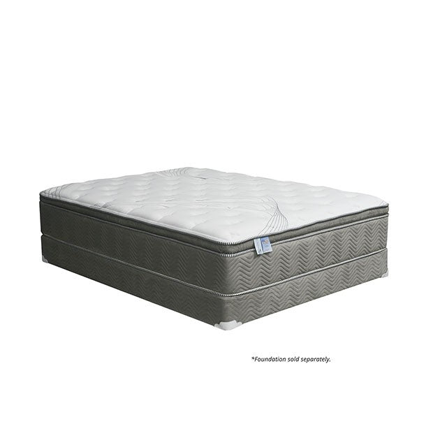 STORMIN White/Gray 13" Euro Pillow Top Mattress, Queen - Jay's Mattress Plus (NY)