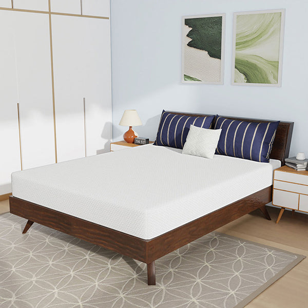 Nasturtium 8" Queen Bamboo Charcoal Infused Memory Foam - Jay's Mattress Plus (NY)